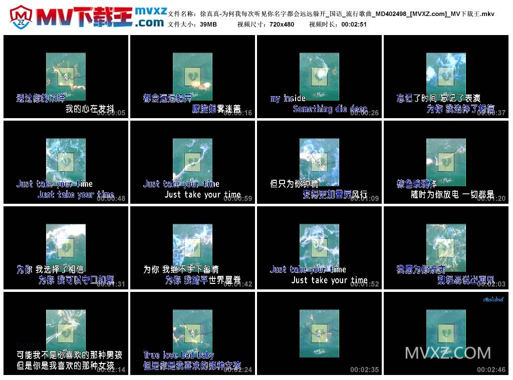 徐真真-为何我每次听见你名字都会远远躲开_国语_流行歌曲_MD402498